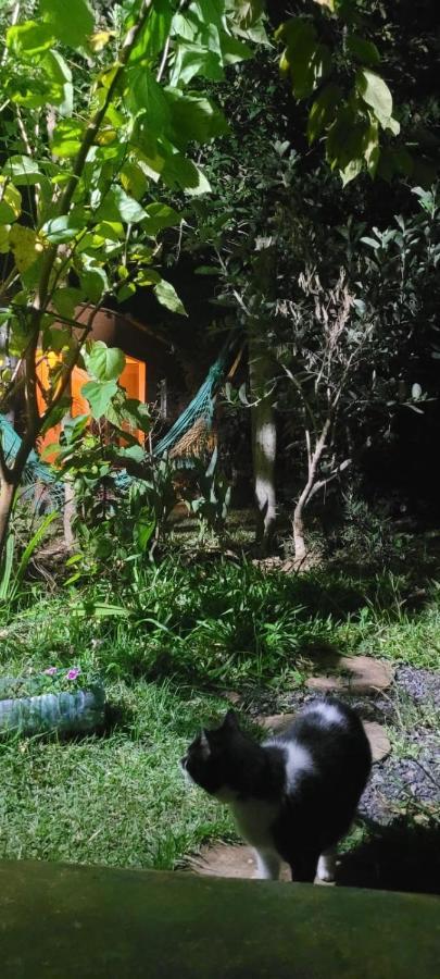 Tenda Da Lua Alto Paraíso de Goiás Exteriér fotografie