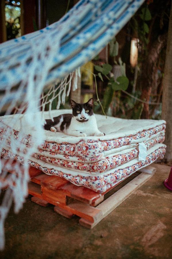Tenda Da Lua Alto Paraíso de Goiás Exteriér fotografie